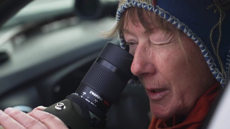 Kranichschützerin Beate Blahy auf der Suche. – Bild: rbb/​Riccardo Wittig