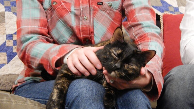 Reese sitting on cat owner Beth’s lap. – Bild: Discovery Communications
