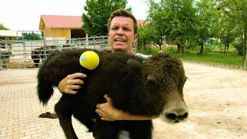 Benedikt Weber – Bild: Courtesy of Disney+