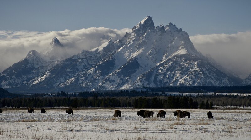Rocky Mountains – Bild: phoenix/​Terra Mater/​The WNET Group/​Joseph Pontecorvo