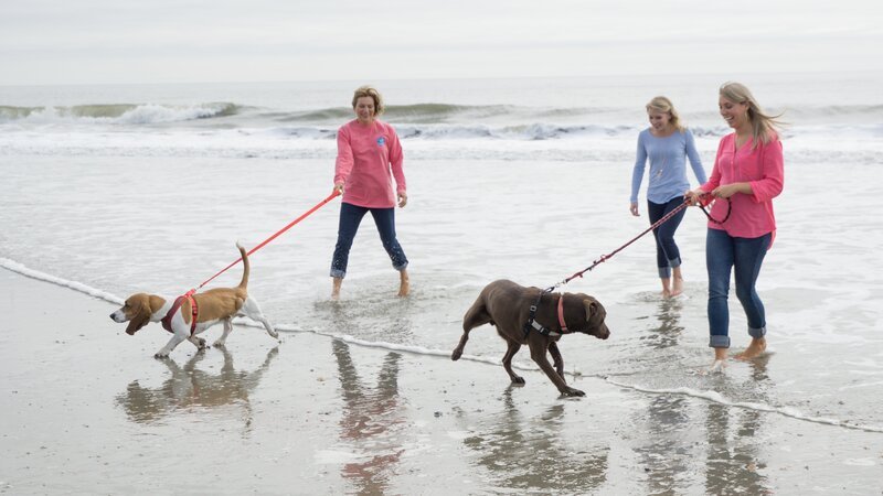 Homebuyer Deb and her daughters Ginny and Amanda take her dogs for a walk on the beach, as seen on HGTV’s Beach Hunters. – Bild: HGTV /​ HBCHU106_257893_940609 /​ HGTV/​Scripps Networks, LLC. All Rights Reserved
