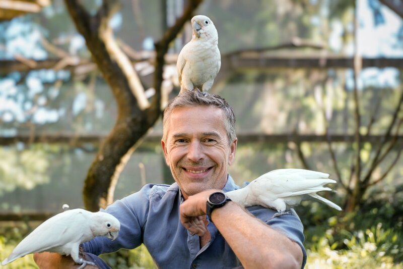 Frech, neugierig und sehr schlau: Kakadus zählen zu den besten Werkzeugmachern im Tierreich. – Bild: ZDF und OLIVER ROETZ