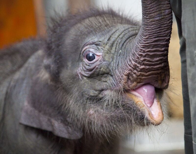 Ein Sorgenkind. – Bild: BR/​Jens-Uwe Heins