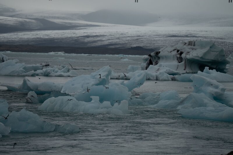 Die Gletscherlagune Jökulsárlón. – Bild: National Geographic /​ Tess Benjamin