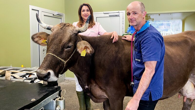 Tierärztepaar Patty und Thomas Stadler betreiben eine  Gross- und Kleintierpraxis in Altdorf, UR 2021 – Bild: SRF