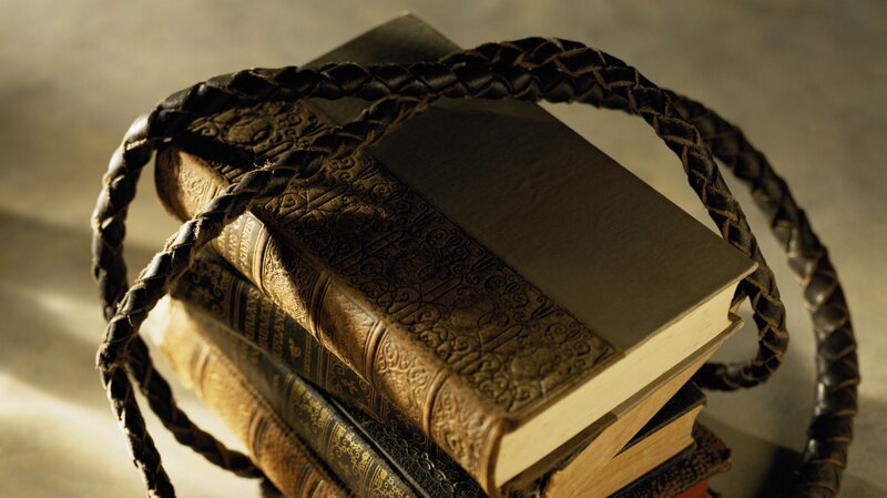 Bild: Discovery Channel