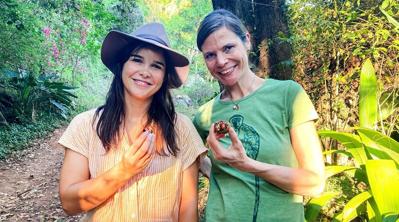 Weißkehlmeerkatzen fressen liebend gerne Baumfrüchte. Am Boden finden Anna und Affenforscherin Birthe Linden die Überreste. (Von links: Anna und Birthe Linden). – Bild: BR/​Text und Bild Medienproduktion GmbH & Co. KG/​Ben Wolter