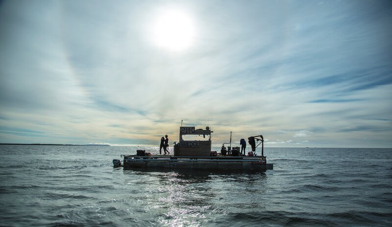 The edge of the sea – Bild: Discovery Networks Picture Publicity