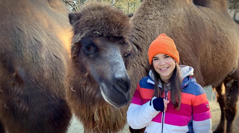 Als Zootierpfleger darf man auch mal die ein oder andere Kuscheleinheit mit seinen Schützlingen einlegen. Die Trampeltiere sind sehr neugierig und verschmust. – Bild: BR/​Text und Bild/​Karen Markwardt
