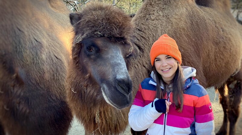 Als Zootierpfleger darf man auch mal die ein oder andere Kuscheleinheit mit seinen Schützlingen einlegen. Die Trampeltiere sind sehr neugierig und verschmust. – Bild: BR/​Text und Bild/​Karen Markwardt