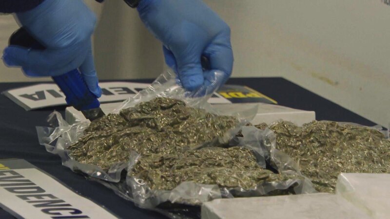 Bild: TV Alliance – TV A2 Media GmbH/​WeltN24 GmbH