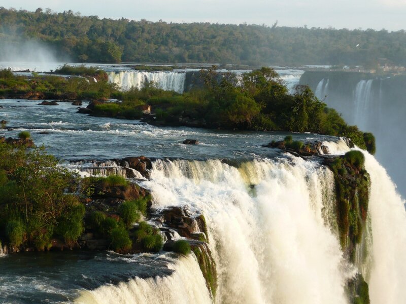 Coatis – wie die Nasenbären auf portugiesisch heißen – leben an den Wasserfällen von Iguassu. – Bild: BR/​Claus Adam