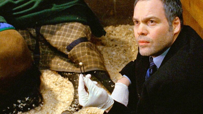 Detective Goren (Vincent D’Onofrio) untersucht einen Mord im Pferdestall. Weshalb wurde die Tierärztin getötet? – Bild: MG RTL D
