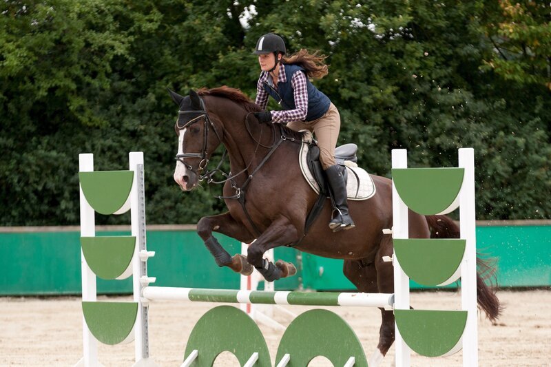 Alex (Ina Paule Klink) mit ihrem Rassehengst „Stolz von Bielefeld“ auf dem Parcours. – Bild: ZDF/​Thomas Kost