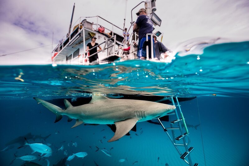  – Bild: ProSieben MAXX