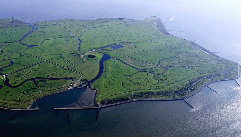 Hallig Langeneß von Prielen durchzogen. – Bild: NDR/​MANFRED SCHULZ TV & FilmProduktion