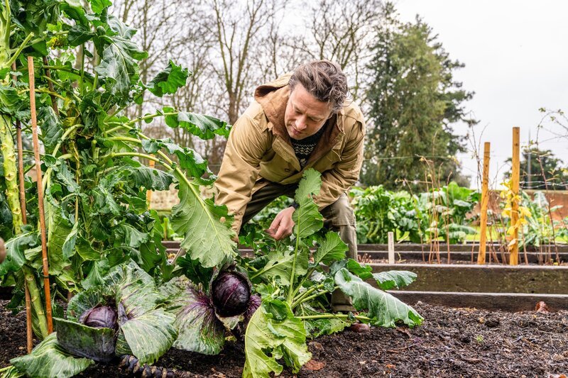 Jamie Oliver – Bild: ORF/​Fremantle/​Jamie Oliver Enterprises Ltd/​Chris Terry