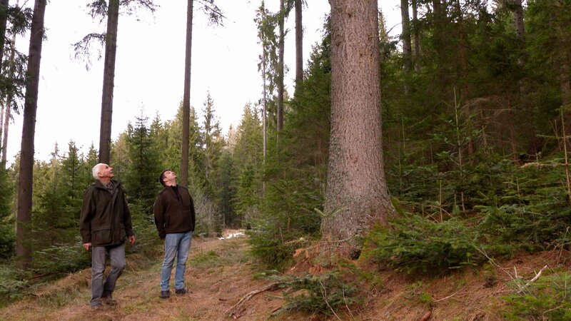 Johann und Johannes Hesele. – Bild: ORF / Pammer Film Johann und Johannes Hesele. – Bild: ORF / Pammer Film