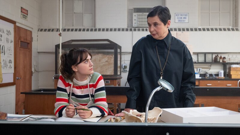 Cat Person – Bild: Studiocanal GmbH/​David Giesbrecht