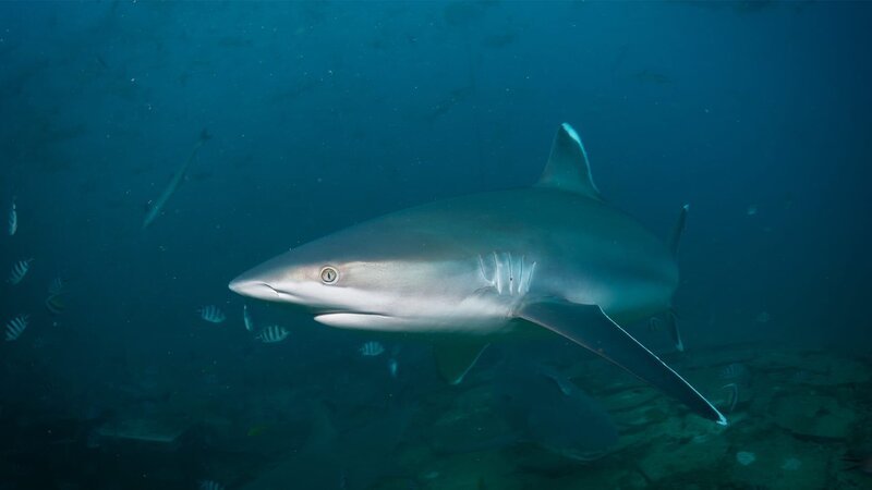 . – Bild: Warner Bros. Discovery