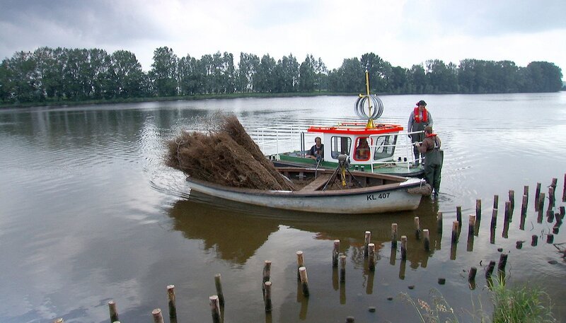 Flusssicherungsmaßnahme an der Eider – Buschkistenbau. – Bild: NDR/​MANFRED SCHULZ TV & FilmProduktion