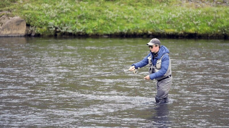 Island: Wildlachsfischer Gunnar Örn Petersen warnt: Entkommene Zuchtfische bedrohen den Wildlachsbestand. – Bild: ORF