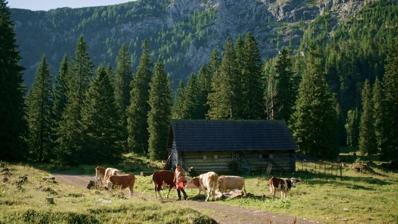 Gesäuse National Park. – Bild: Bergblick