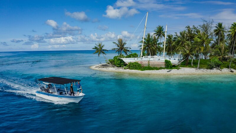 Kamakai - Der größte Tigerhai der Welt? – Bild: NGC Network US, LLC /​ Mike Reid