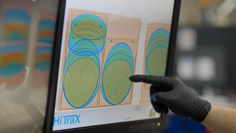 Bild: Seven Network (Operations) Limited