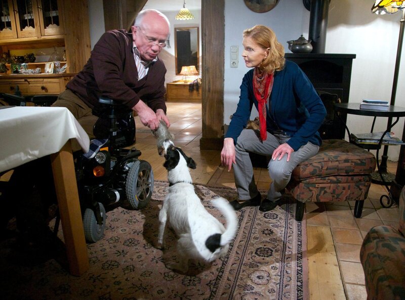 Richard Krüger (Christian Grashof) ist nach einem Autounfall vor zwei Jahren auf den Rollstuhl angewiesen. Trotz erfolgreicher Operation hat Richard seither so starke Schmerzen, dass er sich kaum bewegen kann. Als er mit Hund Hugo spielt, beobachtet Oberschwester Ingrid (Jutta Kammann), dass Richard regelrecht aufblüht. – Bild: MDR/​Saxonia/​Rudolf Wernicke