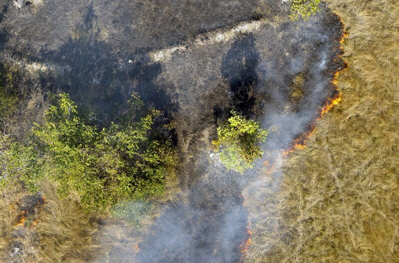 Durch kontrolliertes Abbrennen werden natürliche Barrieren aus Asche geschaffen, die den Buschbränden Einhalt gebieten sollen. – Bild: Marius Van Graan