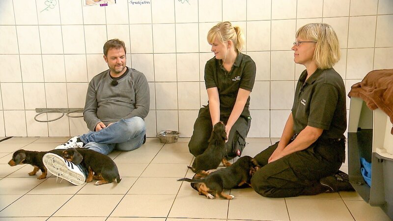 Martin Rütter, Sophie und Sabine (r.) – Bild: TVNOW