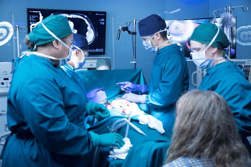 THE GOOD DOCTOR – SEASON 1 – EPISODE 104 – „Point Three Percent“. – Bild: Jeff Weddell /​ American Broadcasting Companies, Inc.