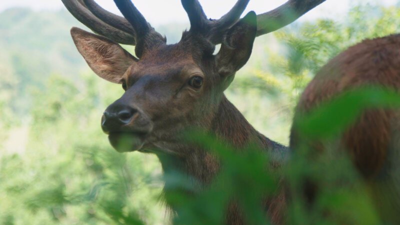 . – Bild: Marco Polo TV