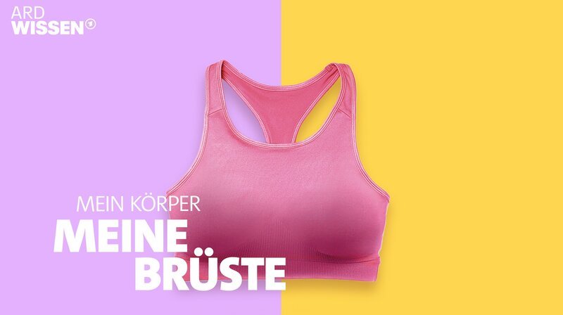 Key Visual zu „Mein Körper. Meine Brüste – Was soll der Hype?“. Brüste bekommen viel Aufmerksamkeit – ob gewünscht oder nicht. Für viele sind sie das Sinnbild für Weiblichkeit. Diese Doku eröffnet neue Perspektiven und hinterfragt gesellschaftliche Erwartungen. – Bild: SWR