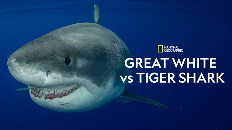  – Bild: National Geographic