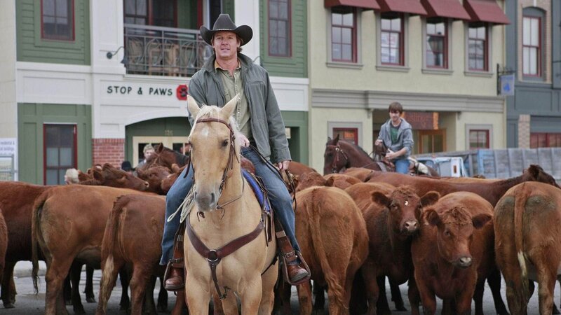 Tim hat seine vor Jahren gestohlene Rinderherde wiedergefunden und treibt sie zum Polizeirevier von Hudson. – Bild: MG RTL D