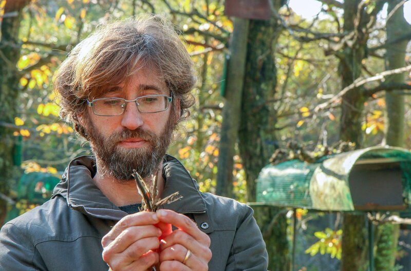 Andrea Rutigliano, liebt die Singvögel und jagt die Vogeljaeger – Bild: phoenix/​ZDF/​Roland Gockel