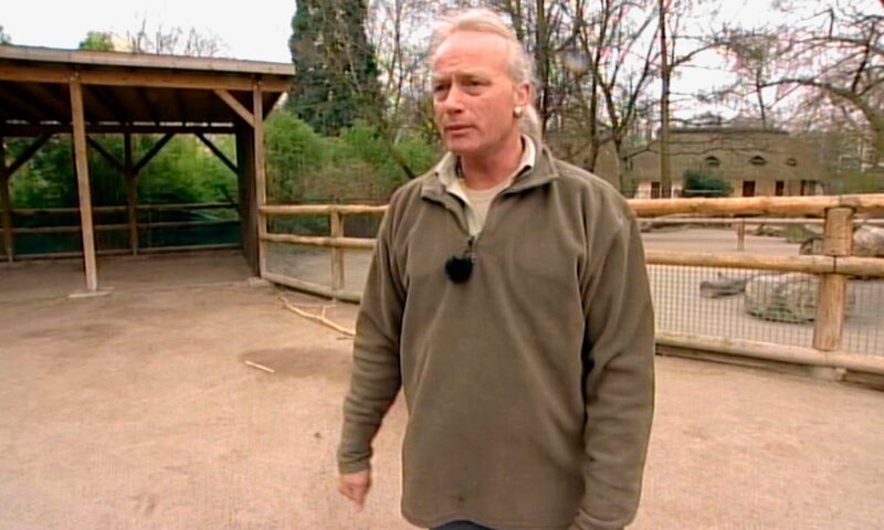 Pfleger Hans-Jürgen Kuchem bringt den Kamelen Abwechslung. – Bild: HR