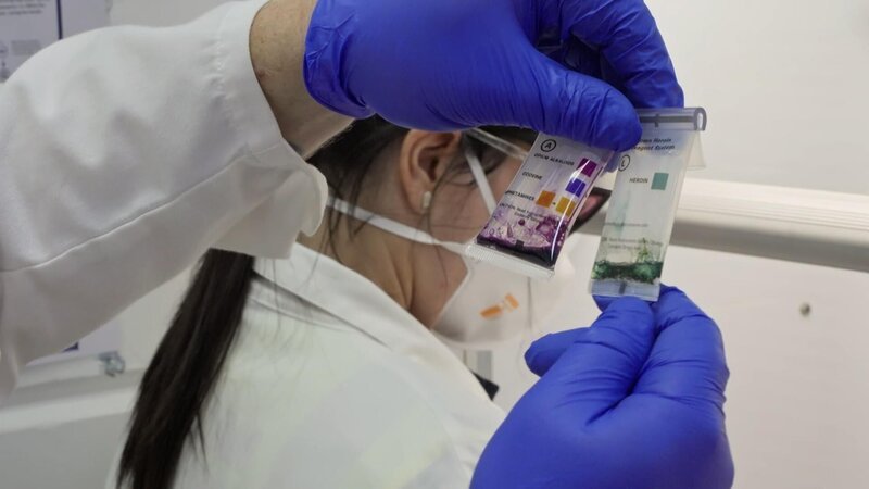 Bild: Seven Network (Operations) Limited