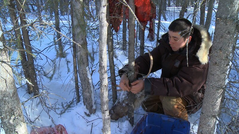 Joey Zuray setting a wolf snare. – Bild: Discovery Communications