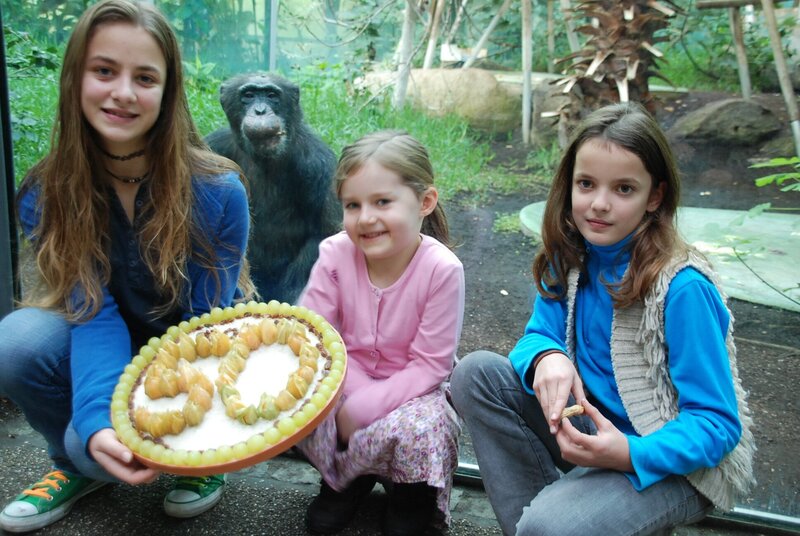 Schimpanse Toni hat Geburtstag. – Bild: BR/​Jens-Uwe Heins/​Jens-Uwe Heins