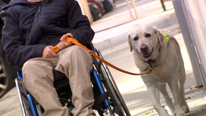 Bild: ORF/​ORF Burgenland