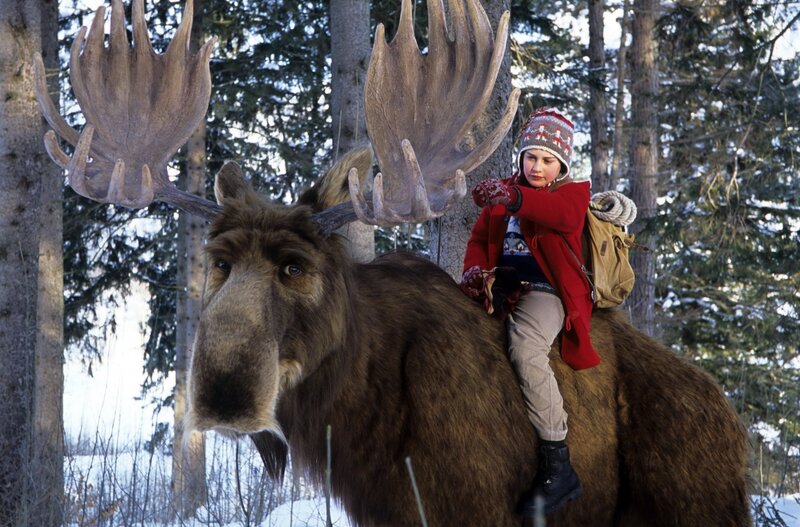 Es ist ein Elch entsprungen – Bild: ORF