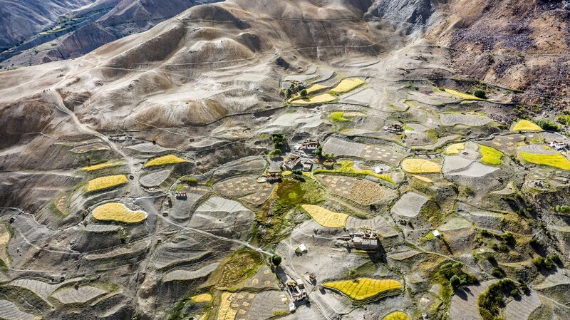Terrassenfelder in der indischen Zanskar-Region im westlichen Himalaya. – Bild: Michael Martin /​ BR