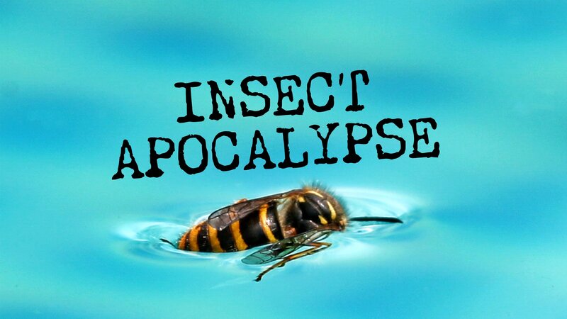 Bild: Curiosity Stream