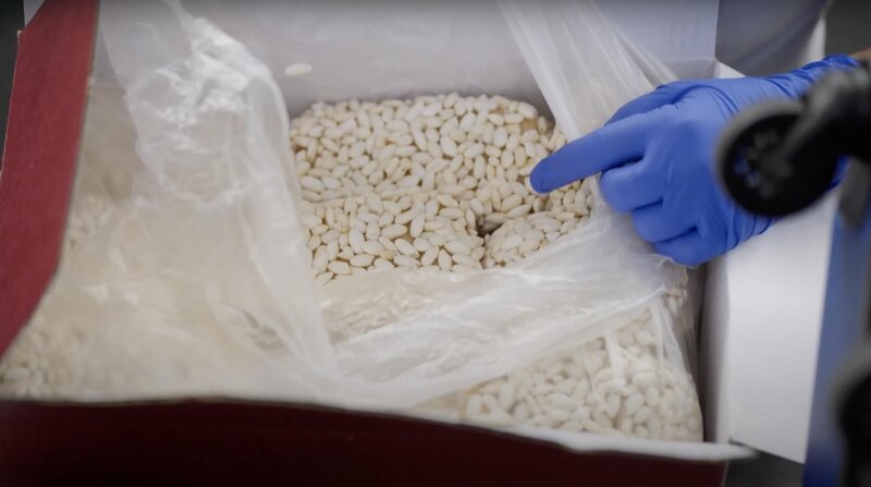 Bild: Seven Network (Operations) Limited