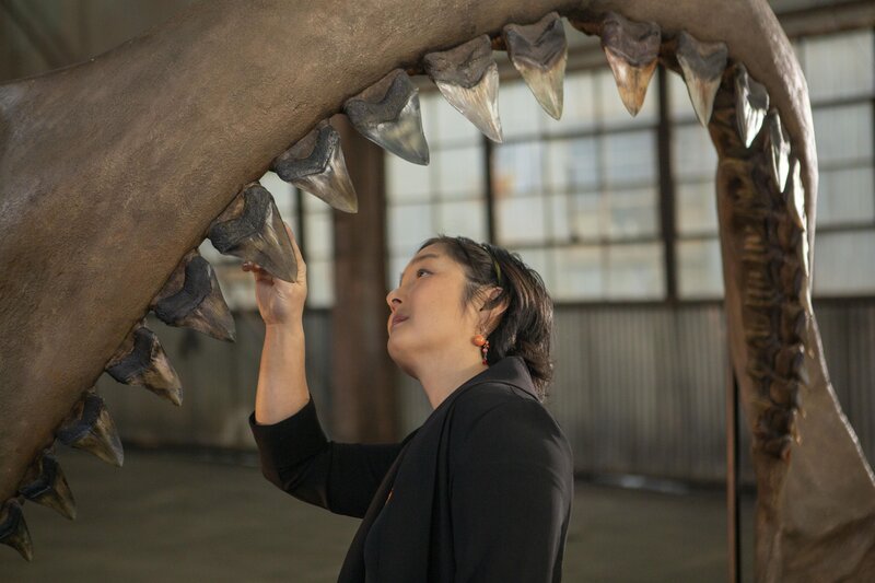 Dr. Sora Kim untersucht einen Satz Megalodon-Kiefer aus der Nähe – Bild: Warner Bros. Discovery, Inc. or its subsidiaries and affiliates. All rights reserved.