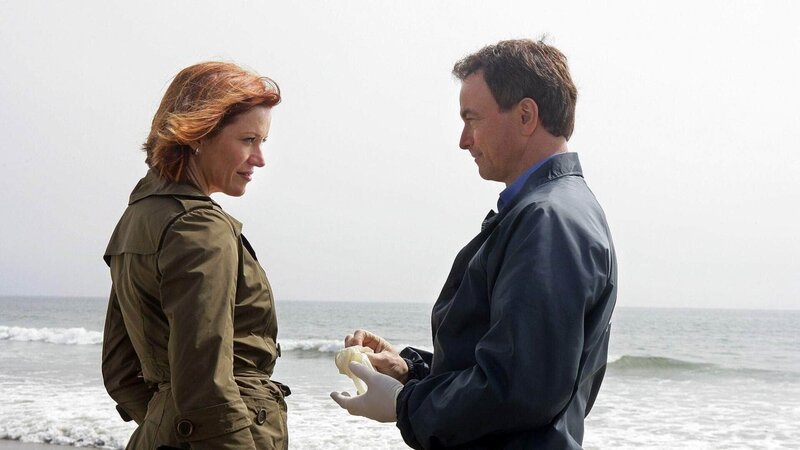 Am Fundort der Leiche trifft Mac (Gary Sinise) auf seine frühere Kollegin Quinn Shelby (Kristen Dalton), die die Arbeit von Macs Team evaluieren will. – Bild: MG RTL D /​ CBS