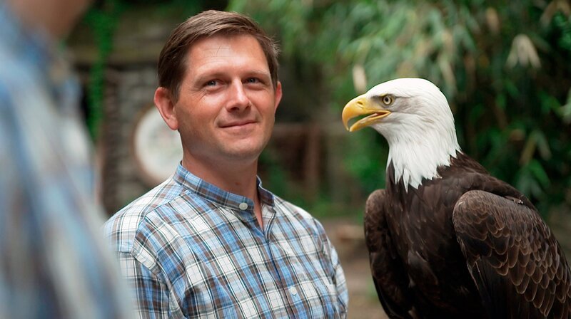 Spazierrunde statt Flugstunde: Weißkopfseeadler Viktoria bricht auf zu einem Spaziergang durch den Zoo. Selbstverständlich nicht allein, sondern mit den Tierpflegern Stefan Germann und Jens Krause. Jens ist neu im Team und soll demnächst den Seeadler betreuen. Auf ihrer Runde kommen die drei an den Gehegen anderer Zoobewohner vorbei. Wie reagieren Eisbären, Präriehunde und Berberlöwe Basu auf die Spaziergängerin? – Bild: NDR/​Doclights/​Jeannine Apsel